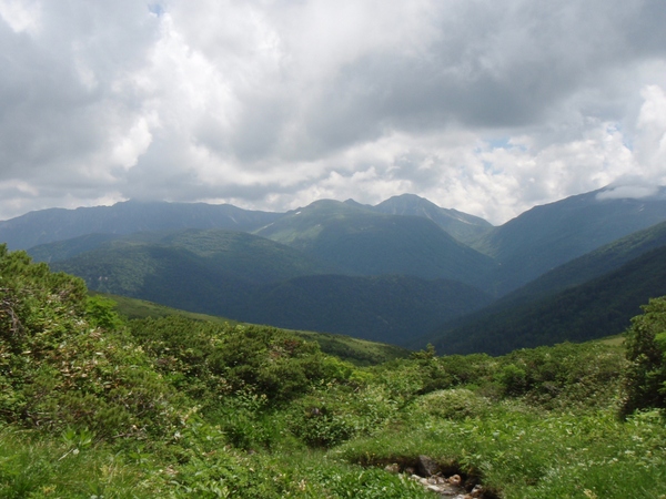 b0039898_953631.jpg