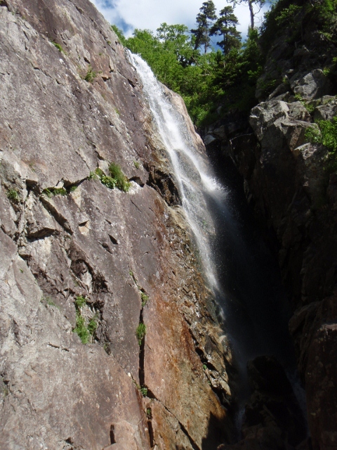 b0039898_95456.jpg