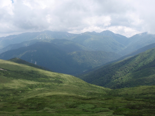 b0039898_961123.jpg