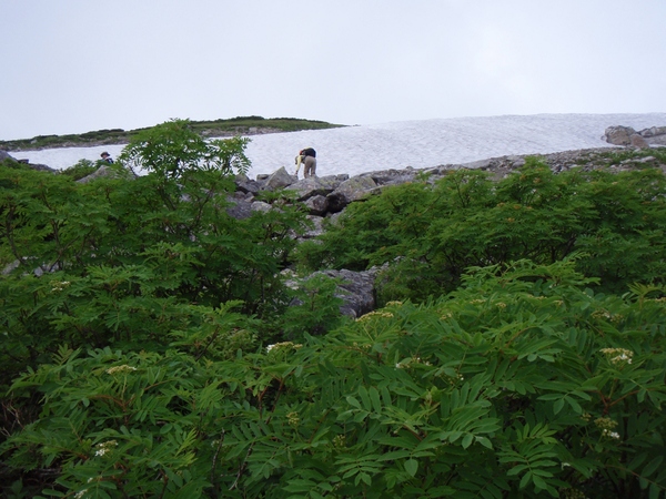 b0039898_9627100.jpg