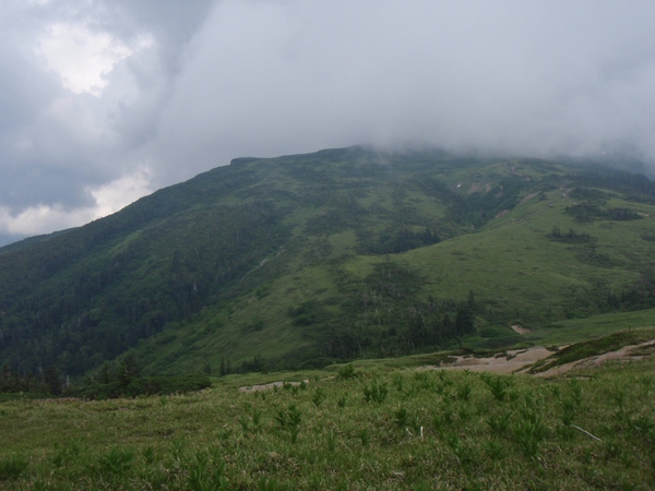 b0039898_991559.jpg