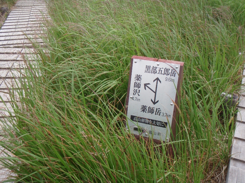 b0039898_993030.jpg