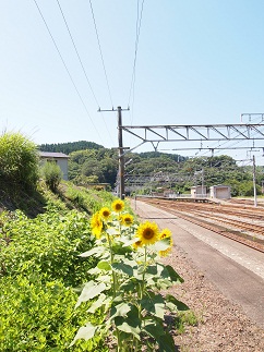 c0187298_22212756.jpg