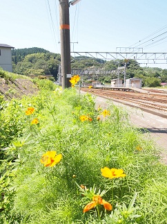 c0187298_22221036.jpg