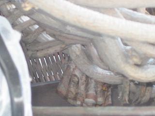 e0119003_17361825.jpg