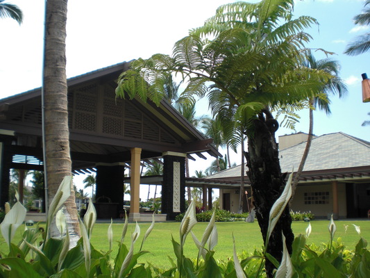 e0155609_1062245.jpg