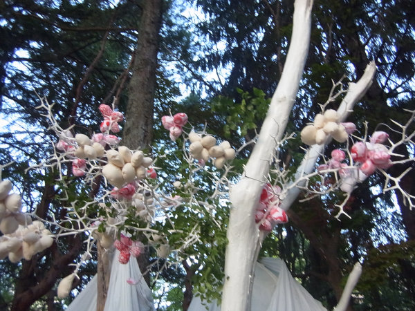 e0203009_151271.jpg