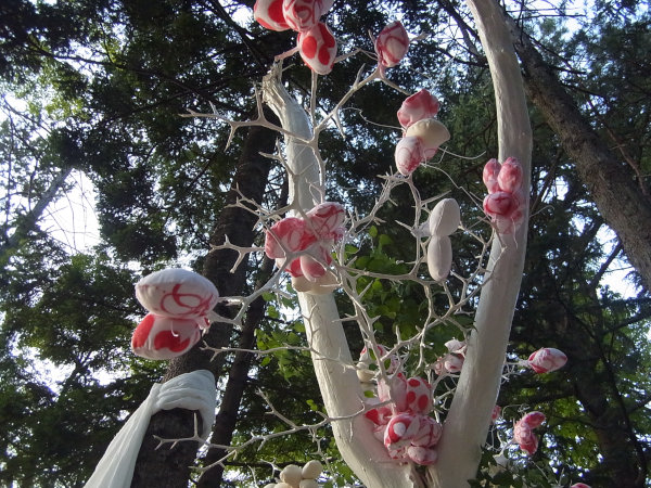 e0203009_152354.jpg