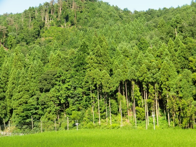 b0249310_1133477.jpg