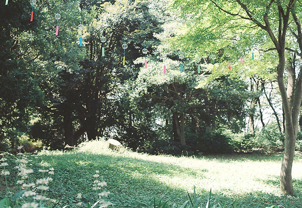 e0202310_119417.jpg