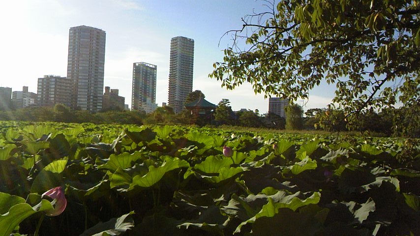 b0248216_17475370.jpg