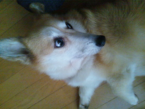 c0150520_23133863.jpg