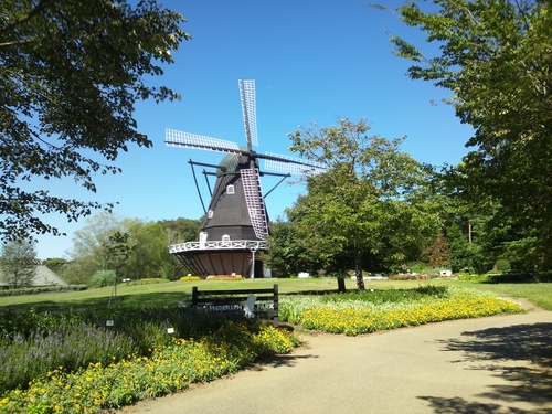 c0150520_2315249.jpg