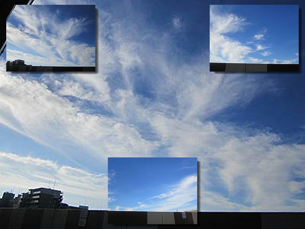 d0065324_20595841.jpg