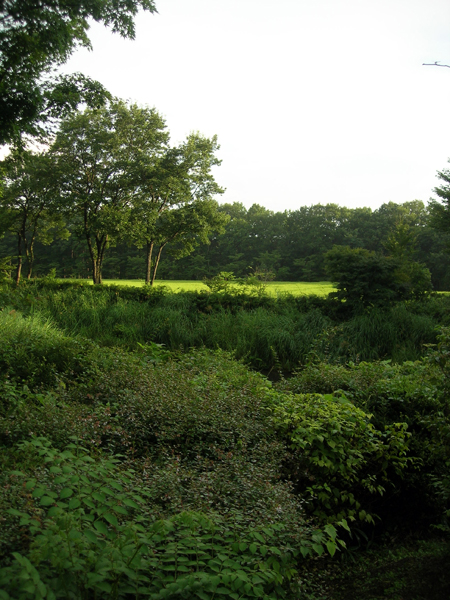 d0077225_1604145.jpg