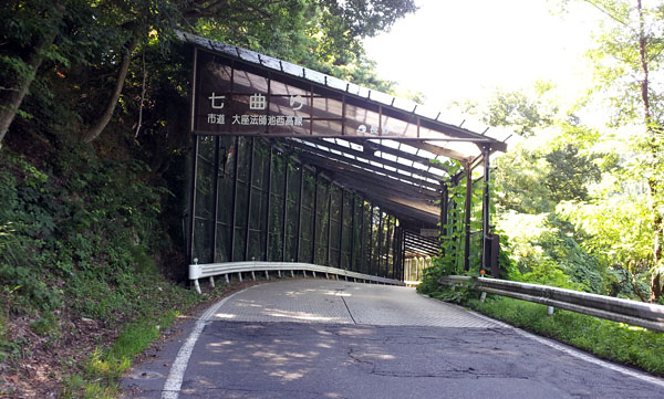 e0089826_2048126.jpg