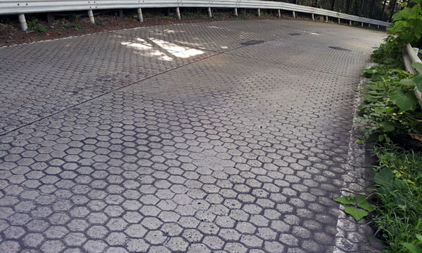 e0089826_20494347.jpg