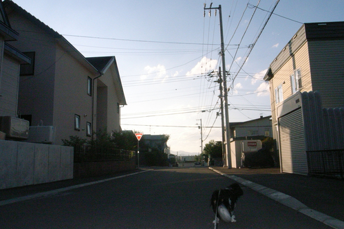 c0051132_21384810.jpg