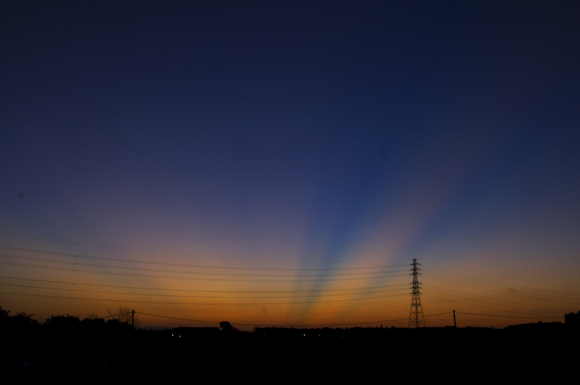 d0138737_16384876.jpg