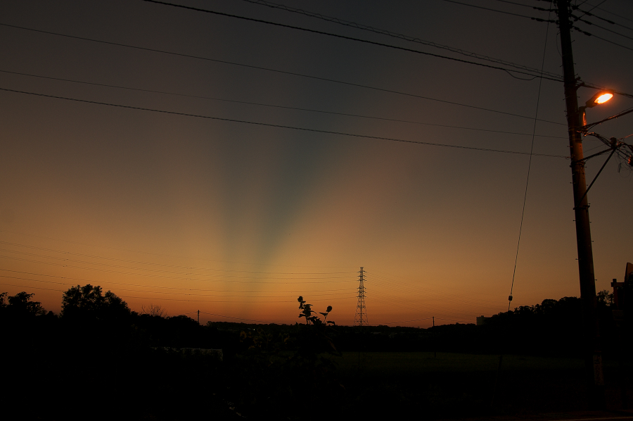 d0138737_759429.jpg