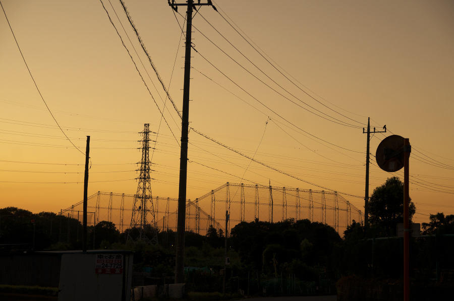 d0138737_81584.jpg