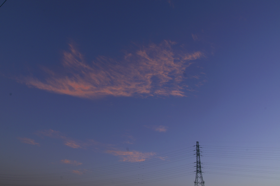 d0138737_842533.jpg