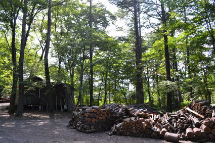 e0228938_1919378.jpg