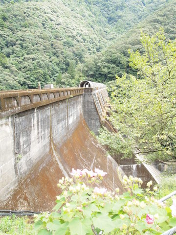 b0199742_20591899.jpg