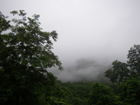f0046250_21545142.jpg