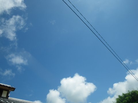 f0046250_2157815.jpg