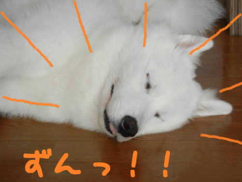 a0269552_852143.gif
