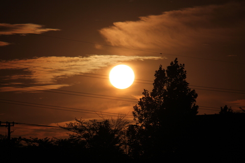 a0248459_16375984.jpg