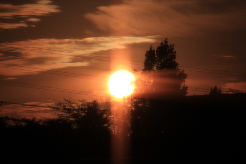 a0248459_16384145.jpg