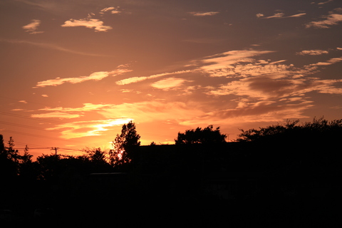 a0248459_1642479.jpg