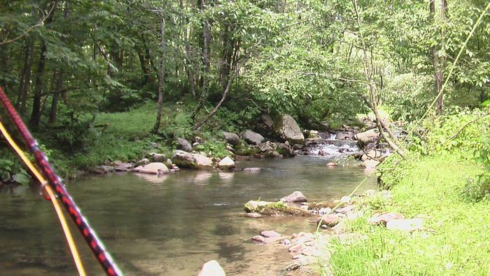 b0208961_9355677.jpg