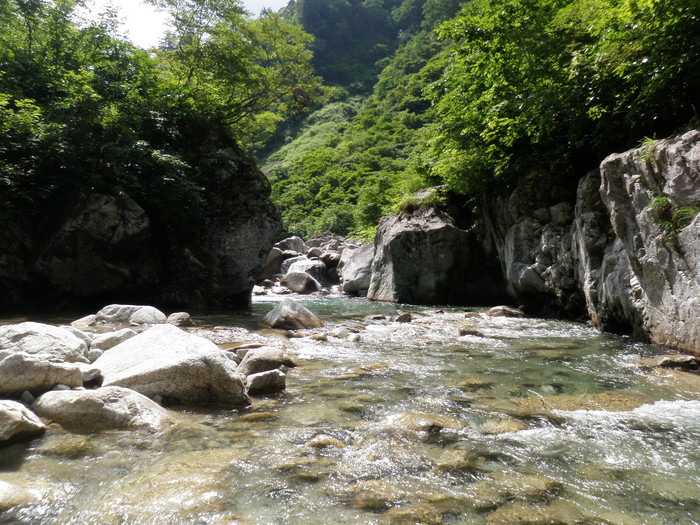 b0120066_14505257.jpg