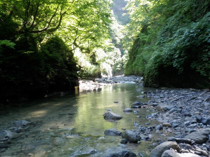 b0120066_152222.jpg