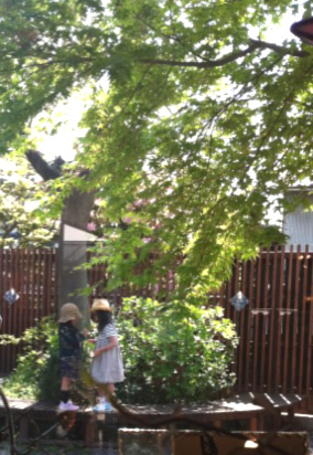 e0167366_22321796.jpg
