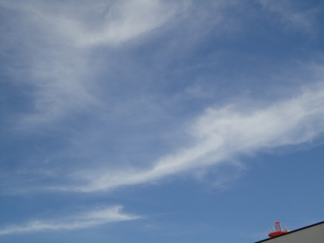 d0109373_22341376.jpg