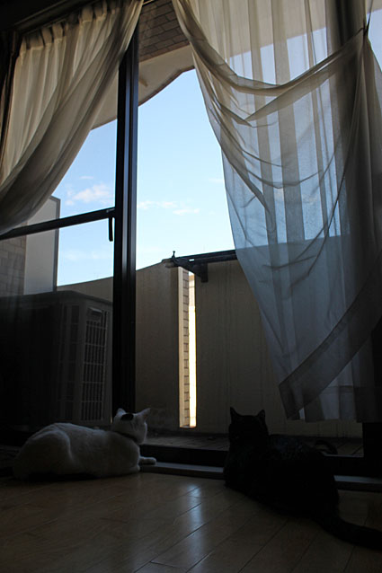 c0226874_12504543.jpg