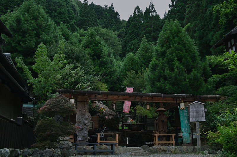 c0177576_15453335.jpg