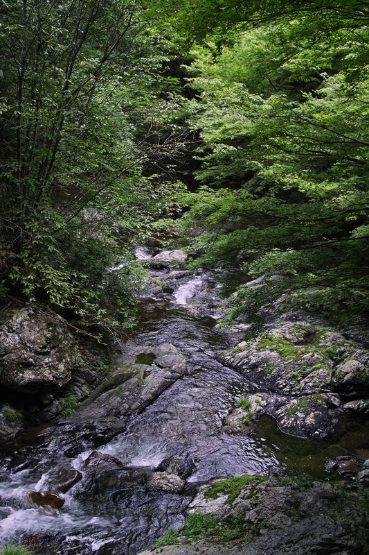 c0177576_15461857.jpg