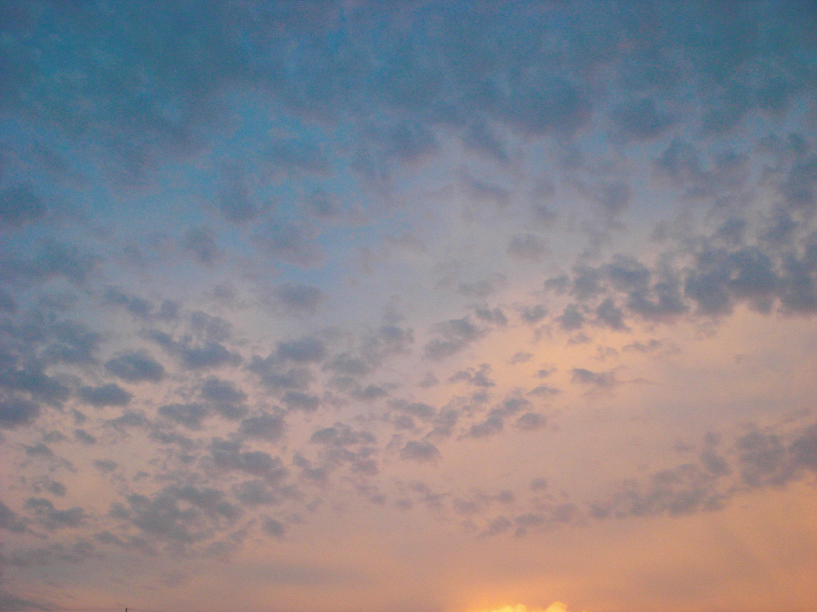 f0112080_231636100.jpg