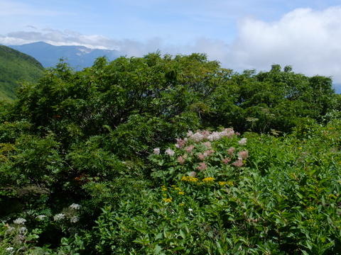 a0043982_19292527.jpg