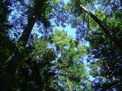 a0142083_22125643.jpg
