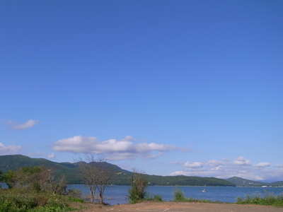 a0195486_21332826.jpg
