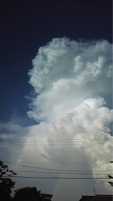 b0245886_1801056.jpg