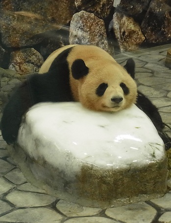 a0260090_1254662.jpg