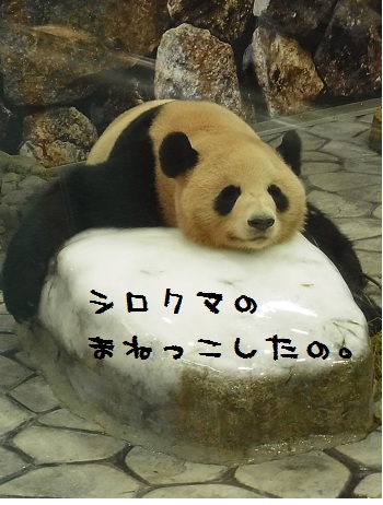 a0260090_1273541.jpg