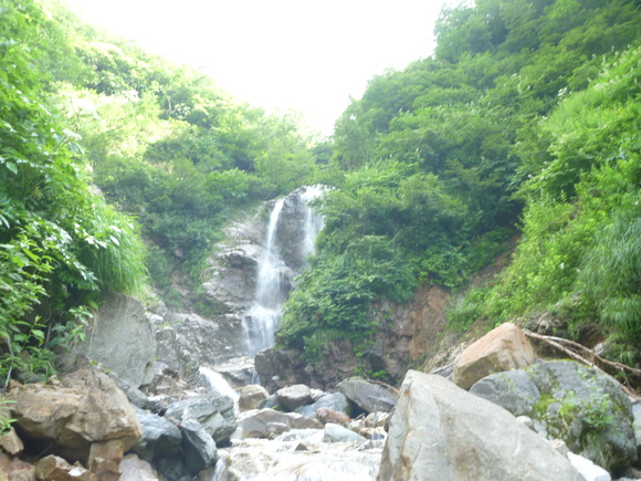 e0149092_77035.jpg